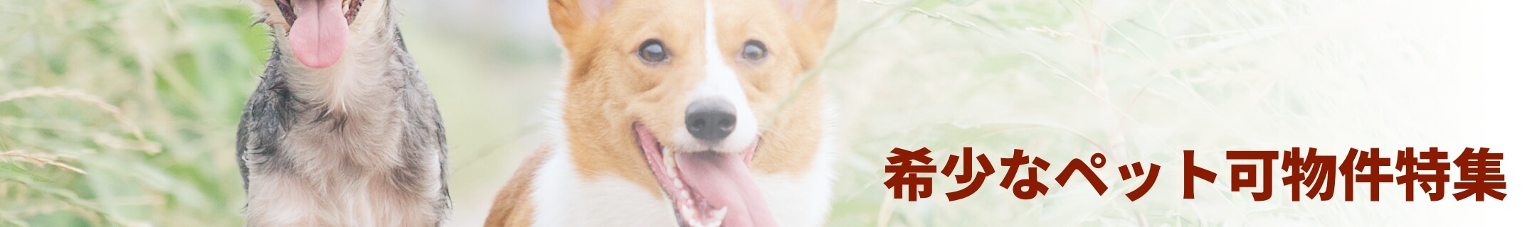 希少なペット可物件特集